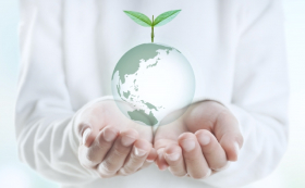 環境に配慮した エコ素材の研究・開発